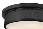 Hinkley-48561BK|ALT|5