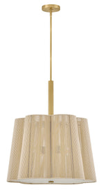 Hinkley-48586LCB|ALT|1