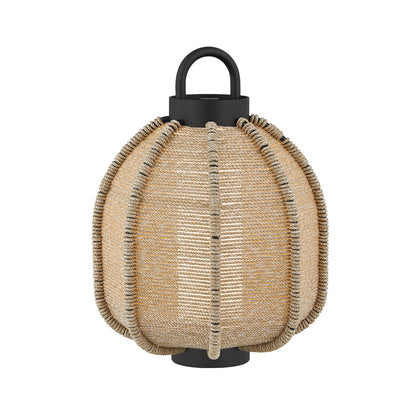 Troy Lighting-RTL8613-TBK image