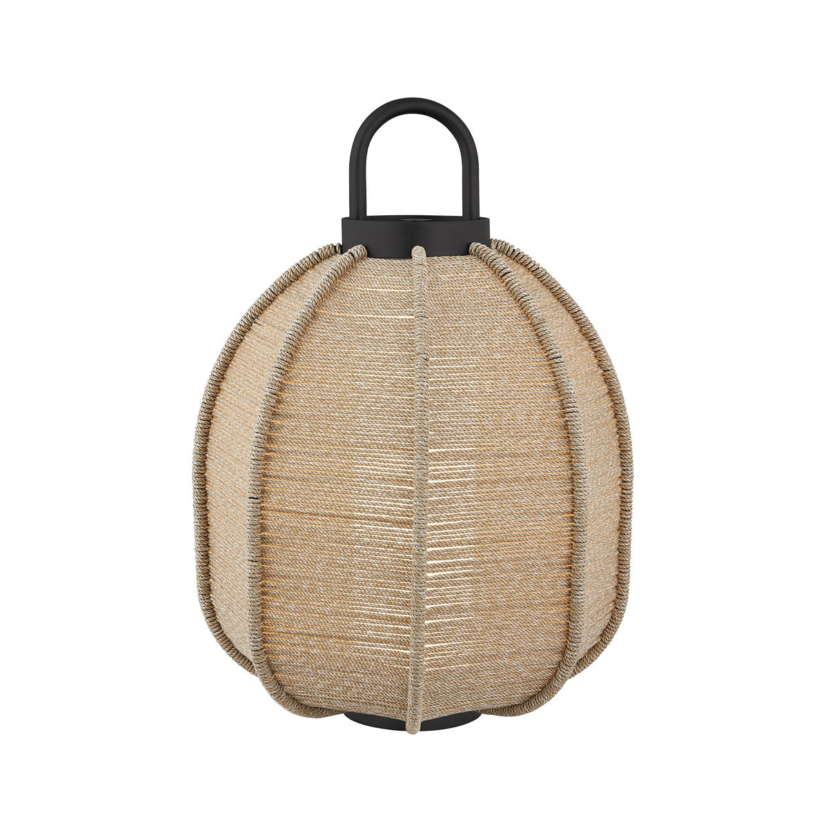 Troy Lighting-RTL8621-TBK image