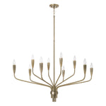 Capital Lighting-460401ANB|MAIN