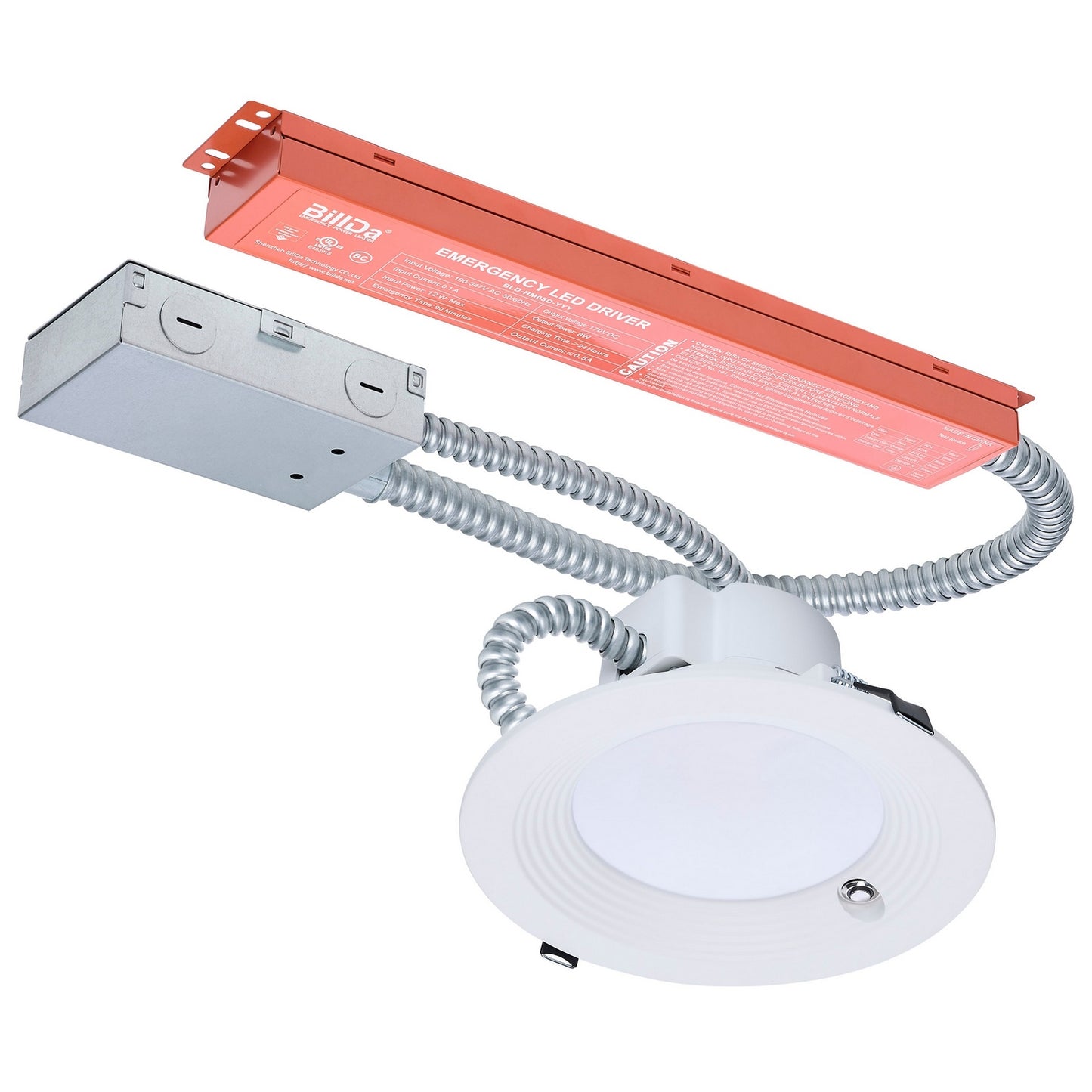 Nuvo Lighting-S21605|MAIN