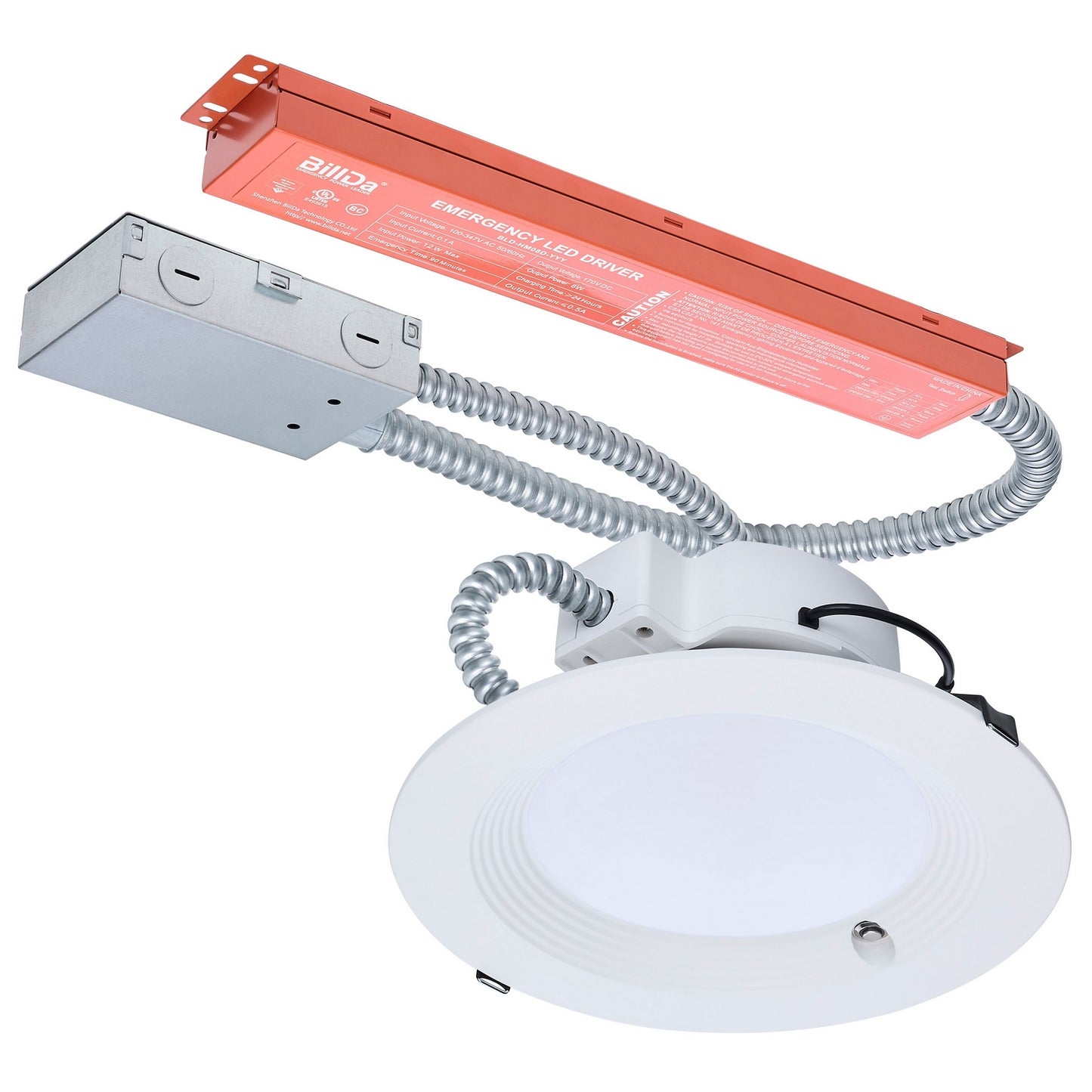 Nuvo Lighting-S21606|MAIN