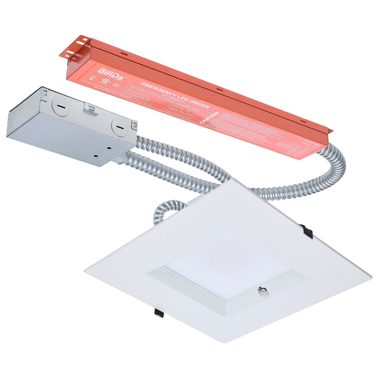 Nuvo Lighting-S21615|MAIN