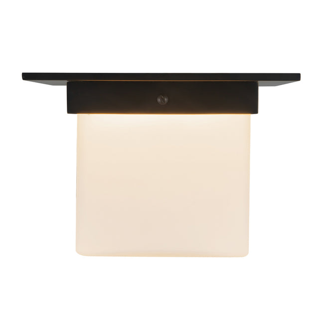 Alora-FM356085UBOP|ALT|1