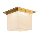 Alora-FM356118PTBAR|MAIN