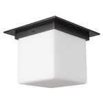 Alora-FM356118UBOP|ALT|2