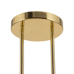 Alora-PD341548PTB|ALT|3