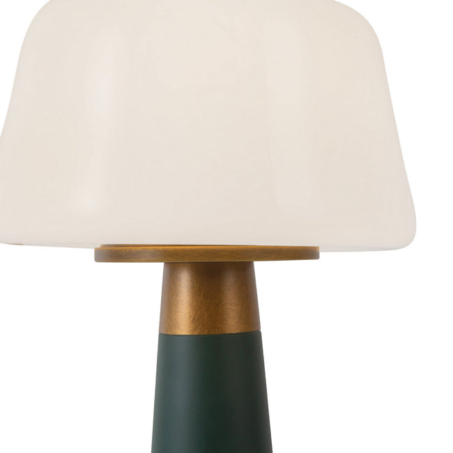 Alora-TL314106PGN|ALT|3