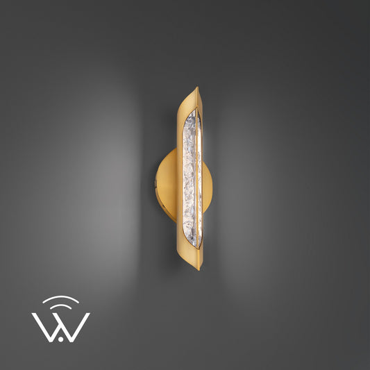 Modern Forms-WS240616-TWA-AB|MAIN