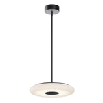 AFX Lighting-JUNP18LAJUDBK|MAIN