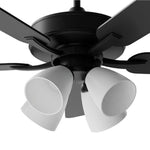 AFX Lighting-SBGN525MACBKBK-4L|MAIN