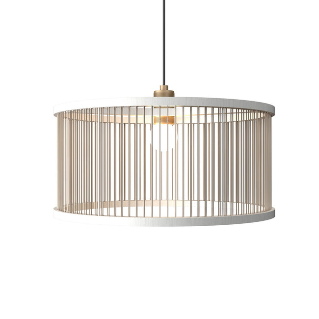 Accord Lighting-1537.47|MAIN