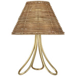 Visual Comfort Signature-ARN 3055G-NTW-CL|MAIN