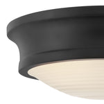 Hinkley-45123BK|ALT|2