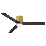 Hinkley-910852FHB-LDA|ALT|3