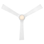 Hinkley-910956FMW-LDD|ALT|6