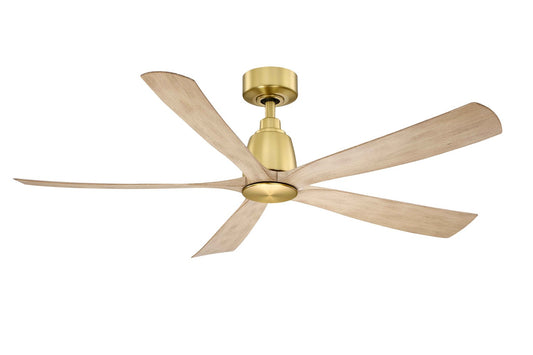 Fanimation-FPD5534BSN|MAIN
