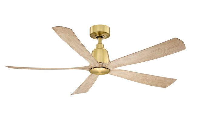 Fanimation-FPD5534BSN|MAIN