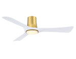 Fanimation-FPD6652BSMW|MAIN
