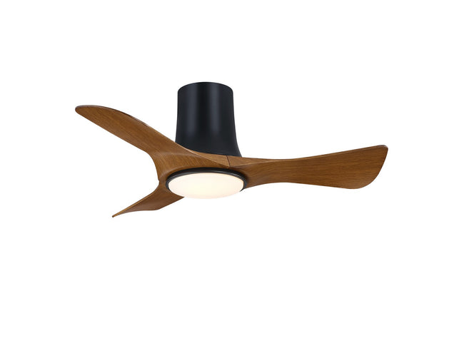 Fanimation-FPD6638BLK|MAIN