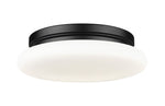 Z-Lite-1025F12-MB-LED|MAIN