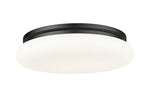 Z-Lite-1025F20-MB-LED|MAIN