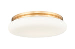 Z-Lite-1025F20-MGLD-LED|MAIN