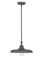 Z-Lite-2308P14-MBZ|MAIN