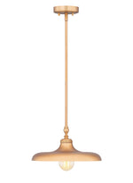 Z-Lite-2308P14-RB|MAIN
