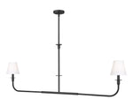 Z-Lite-3049-60L-MB|MAIN