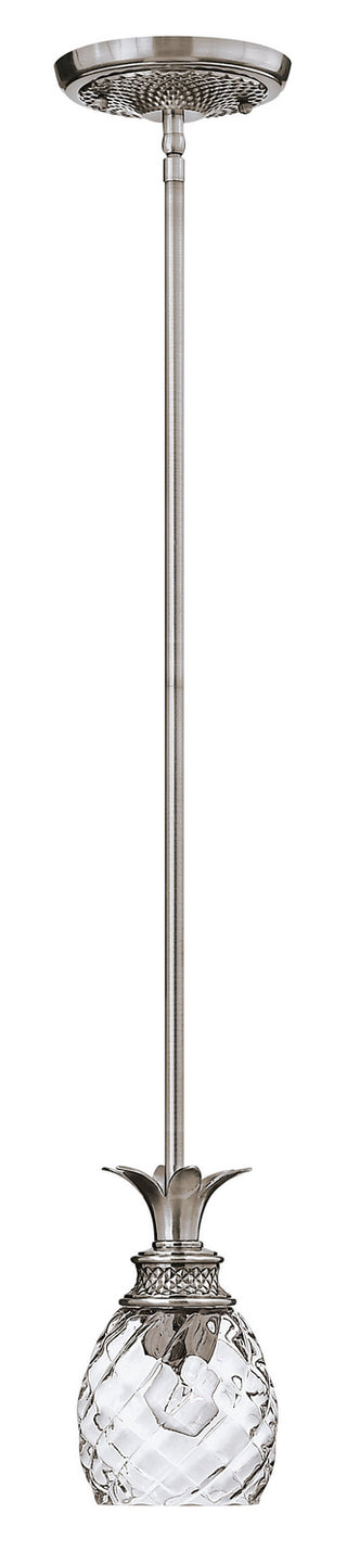 Buy polished-antique-nickel Plantation Pendant by Hinkley