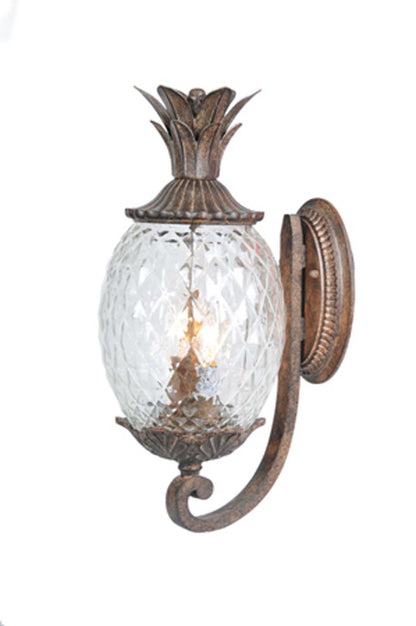 Lanai Wall Lantern by Acclaim Lighting