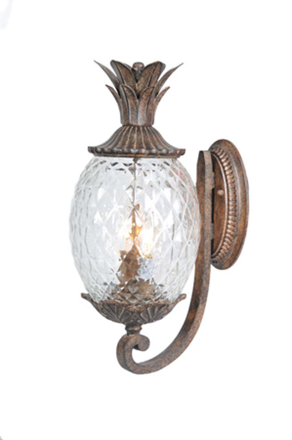 Lanai Wall Lantern by Acclaim Lighting