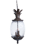 Lanai Hanging Lanterns by Acclaim Lighting