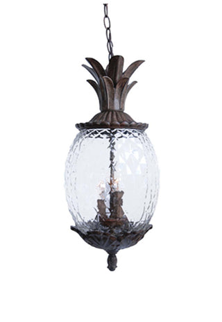 Lanai Hanging Lanterns by Acclaim Lighting
