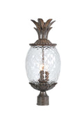 Lanai Post Lantern by Acclaim Lighting