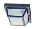 Builders` Choice Ceiling Light by Acclaim Lighting
