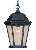 Richmond Hanging Lanterns by Acclaim Lighting