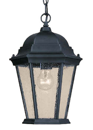 Buy matte-black-with-clear-glass-and-clear-seedy-shade Richmond Hanging Lanterns by Acclaim Lighting