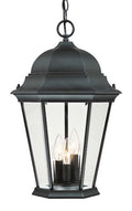 Richmond Hanging Lanterns by Acclaim Lighting