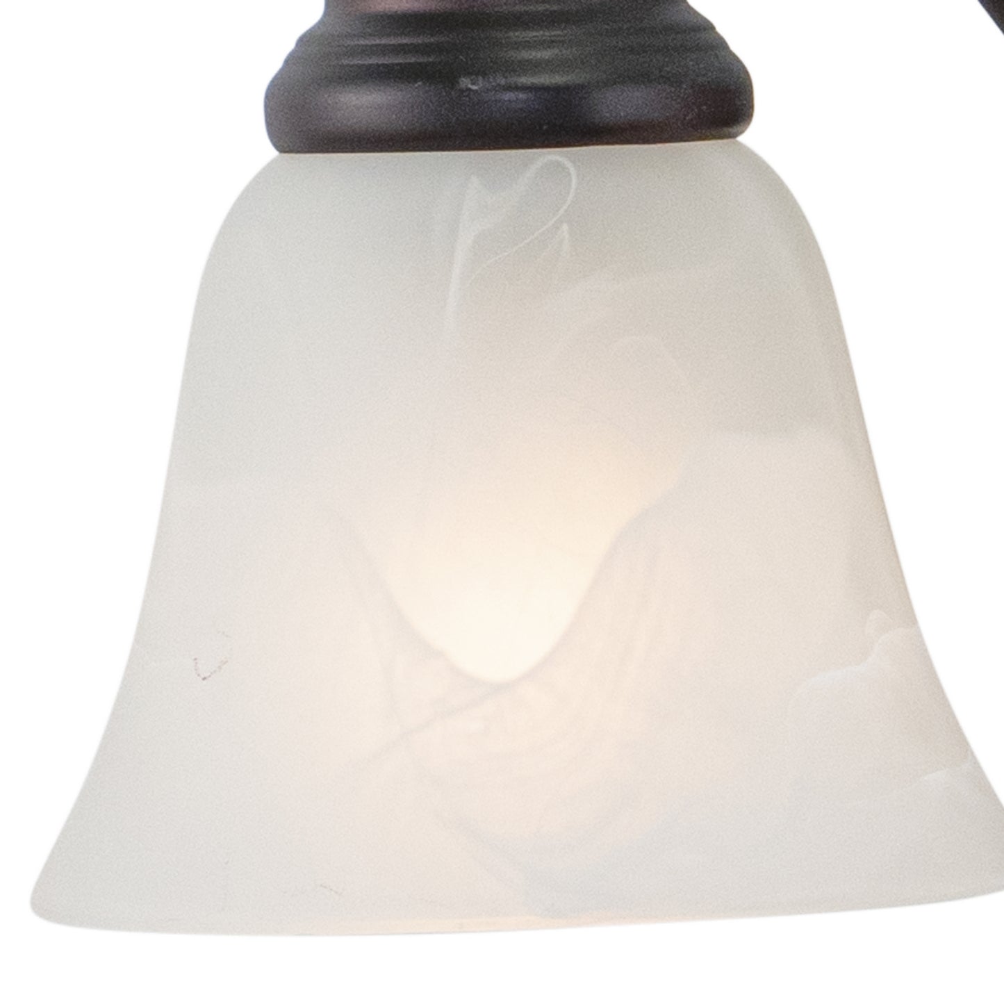 Vaxcel-VL35123OBB|ALT|3
