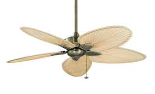 Windpointe Ceiling Fan by Fanimation