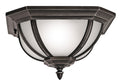 Salisbury Outdoor (Damp) Ceiling Mount Light by Kichler