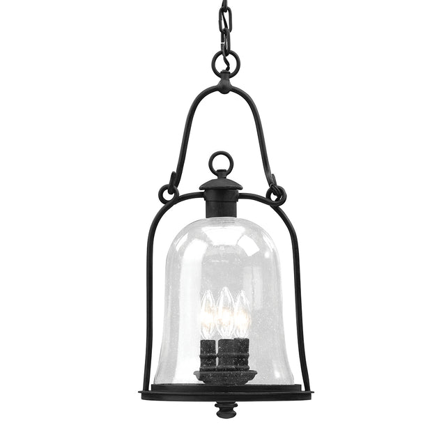 Owings Mill Outdoor (Damp) Hanging Lanterns by Troy Lighting
