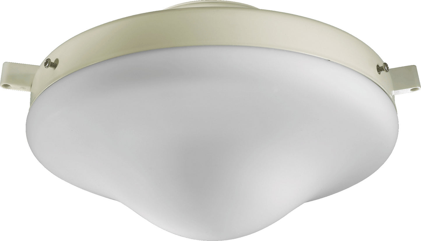 Quorum-1377-867|MAIN