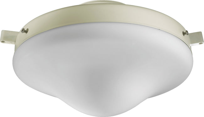 Quorum-1377-867|MAIN