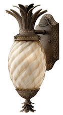 Plantation Outdoor (Wet) Wall Lantern by Hinkley