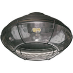 Quorum-1374-895|MAIN