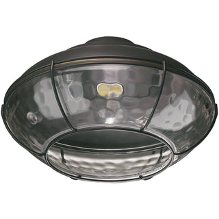 Buy old-world-and-clear-shade Hudson Outdoor (Wet) Light Kit by Quorum